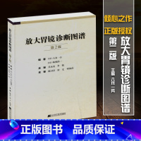 [正版]放大胃镜诊断图谱第2版二版(中文翻译版)放大胃镜观察技巧疾病诊断与治疗技术书籍 放大胃镜的操作规范要点 早期胃癌