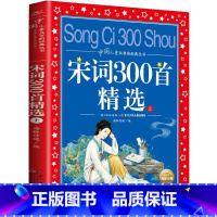 宋词300首精选(上) [正版]安徒生童话全集 世界儿童共享的丛书 注音彩绘版1-3年级儿童文学名著 一二三年级小学生课