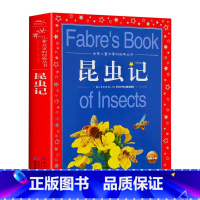 昆虫记 [正版]安徒生童话全集 世界儿童共享的丛书 注音彩绘版1-3年级儿童文学名著 一二三年级小学生课外书阅读儿童阅读