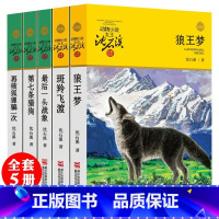 [5册]沈石溪动物小说 [正版]狼王梦沈石溪动物小说全集系列全套5册斑羚飞渡后一头战象第七条猎狗6-7-10-12岁儿童