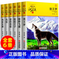 [6册]沈石溪动物小说黄色特辑 [正版]狼王梦沈石溪动物小说全集系列全套5册斑羚飞渡后一头战象第七条猎狗6-7-10-1