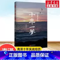 [正版]十年一梦(一个操盘手的自白) 青泽 股票期货投资书的期货交易策略专业投机书籍交易心理书