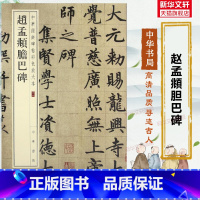 [正版]赵孟頫胆巴碑 中华经典碑帖彩色放大本 毛笔书法字帖 收藏鉴赏中国传统文化书法大家中华书局书籍练字本软笔临摹 赵孟