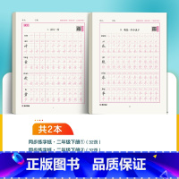 [语文同步练字纸]2年级下 小学二年级 [正版]二年级练字帖小学生每日一练写字帖2023年荆霄鹏楷书字帖小学儿童硬笔书法