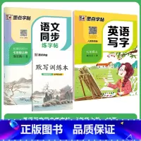 [语文+英语套装]七年级上册 七年级/初中一年级 [正版]七年级上册语文字帖练字小学生硬笔书法字帖一课一练墨点字帖新版初