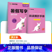 5升6年级 [正版]小学生初中生暑假写字作业一年级上册同步练字二年级三四五六年级下册七八年级上册硬笔书法练字本暑假预习复