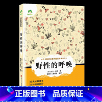 野性的呼唤 [正版]小学生阅读课外书籍书排行榜昆虫记三四五六年级必读课外书名著秘密花园骆驼祥子鲁滨逊漂流记汤姆索亚历