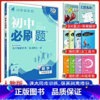 数学人教版 九年级下 [正版]2024新版 初中必刷题九年级下册数学人教版 中考必刷题9年级数学同步练习册试卷题库 初三