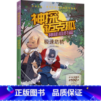 神秘组织篇 2 极速危机 [正版]神探迈克狐系列图书全套18册千面怪盗篇+侦探大赛篇+神秘组织篇雨林神庙麦克狐多多罗科学