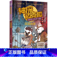 神秘组织篇5 溶洞救援 [正版]神探迈克狐系列图书全套18册千面怪盗篇+侦探大赛篇+神秘组织篇雨林神庙麦克狐多多罗科学推