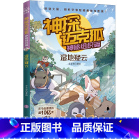 神秘组织篇 3 湿地疑云 [正版]神探迈克狐系列图书全套18册千面怪盗篇+侦探大赛篇+神秘组织篇雨林神庙麦克狐多多罗科学