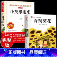 [全2册]青铜葵花+小英雄雨来 [正版]全套2册 青铜葵花曹文轩完整版宝葫芦的秘密张天翼四年级下册课外书书目葫芦娃里的青