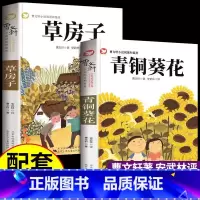 [全2册]青铜葵花+草房子 [正版]全套2册 青铜葵花曹文轩完整版宝葫芦的秘密张天翼四年级下册课外书书目葫芦娃里的青铜奎