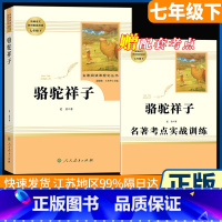 七年级下册 骆驼祥子[必读]赠考点 [正版]朝花夕拾和加西游记上下全册人民教育出版社三册人教版七年级上必读书带批注温儒敏