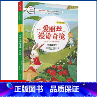 爱丽丝漫游奇镜 [正版]享受阅读6B 小学 生六年级下册考级课外书中外名人文学精品选读课外读物爱上阅读现代文古诗文赏析提