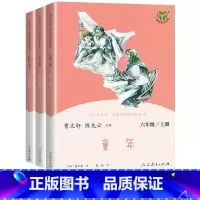 六年级上册 快乐读书吧[全套3册人教社] [正版]小学语文快乐读书吧一二 三四 五六 年级上 下人民教育出版社神笔马良小