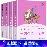 四年级下册 快乐读书吧[全套4册人教社] [正版]小学语文快乐读书吧一二 三四 五六 年级上 下人民教育出版社神笔马良小