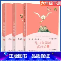 [六年级下册]尼尔斯骑鹅旅行记 [正版]小学语文快乐读书吧一二 三四 五六 年级上 下人民教育出版社神笔马良小英雄雨来和