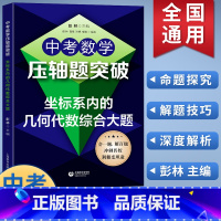 坐标系内的几何代数综合大题 初中通用 [正版]中考数学压轴题突破几何综合大题选择填空压轴小题坐标系内的几何代数综合大题七