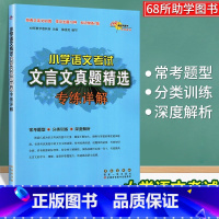 小学语文考试文言文真题精选 [正版]小学语文考试文言文真题精选专练详解三四 五六 年级小升初总复习基础知识强化练习簿走进