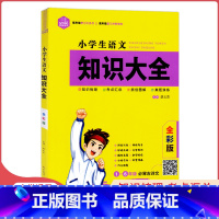 语文 小学通用 [正版]思脉图书小学生语文知识大全数学知识大全知识梳理考点汇总原创图解真题演练一二三四五六年级小学通用全