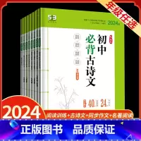 现代文阅读+古诗文阅读 九年级/初中三年级 [正版]2024版53语文七八九年级现代文阅读古诗文阅读名著导读同步作文提分