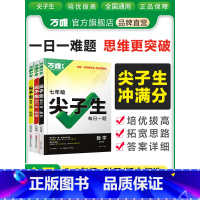 数学 九年级/初中三年级 [正版]2024万唯尖子生每日一题七八九年级+中考数学物理化学初中生初一初二初三通用尖子生题库