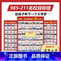 全国通用 好学匠名校目标墙贴[74*52cm]3张 [正版]好学匠名校目标墙985/211全套3张讲解全国百余所优质大学