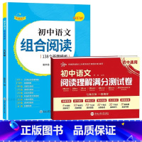 2本[九年级]初中语文组合阅读+阅读理解测试卷 初中通用 [正版]2023版赞读 初中语文阅读组合训练 138个阅读理解