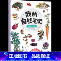 厨房探秘 [正版]博集天卷我的自然笔记全5册文津图书奖得主芮东莉自然探索科普绘本7-8-9-10-11-12-13-14