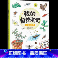 古怪的房客 [正版]博集天卷我的自然笔记全5册文津图书奖得主芮东莉自然探索科普绘本7-8-9-10-11-12-13-1