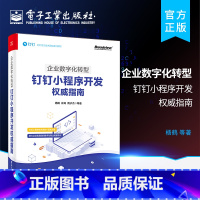 [正版] 企业数字化转型 钉钉小程序开发权威指南 使用钉钉小程序组件 钉钉小程序全局配置 了解钉钉小程序框架