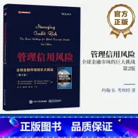 [正版] 管理信用风险——全球金融市场的巨大挑战(第2版)全球信用市场的情况 信用风险管理工具技术书籍