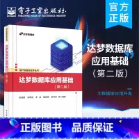 [正版] 达梦数据库应用基础 第二版 达梦数据库管理系统DM8平台系统地介绍了达梦数据库常用操作和应用方法教程书籍 张海
