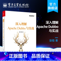 [正版] 深入理解Apache Dubbo与实战 诣极林琳 Dubbo框架原理技术开发 Dubbo集群容错路由负载均衡机