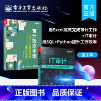 [正版]全2本审计效率手册:用Excel高效完成审计工作+IT审计 用SQL+Python提升工作效率 SQL基础实战数
