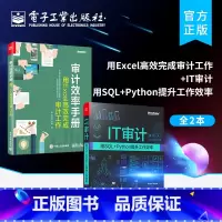 [正版]全2本审计效率手册:用Excel高效完成审计工作+IT审计 用SQL+Python提升工作效率 SQL基础实战数