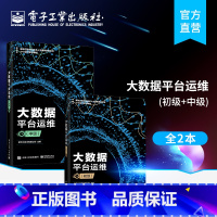 [正版] 2本套 大数据平台运维 中初级 大数据平台运维实践知识核心实操 大数据平台运维初级 大数据实施运维应用场景案例