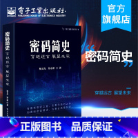 [正版] 密码简史——穿越远古 展望未来 杨义先 趣谈科学丛书 古典近代机械二战密码加密破译传递获取情报 通信与网络书籍