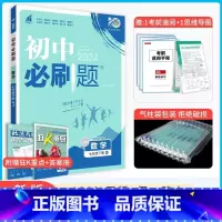 数学·下册[人教版] 七年级 [正版]2024新版初中必刷题七年级上册数学必刷题人教必刷题初一下册数学初中北师沪科版全套