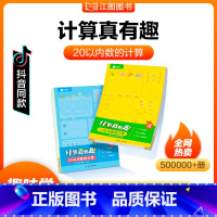 [2册]20以内的计算 [正版]计算真有趣幼小衔接小中大班数学10以内20以内100以内加减法天天练习册口心算术分解与组