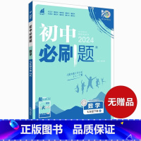 数学·下册[沪科版] 七年级 [正版]2024新版初中必刷题七年级上册数学必刷题人教必刷题初一下册数学初中北师沪科版全套