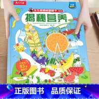 46.揭秘营养 [正版]揭秘系列儿童翻翻书3-6-8-12岁以上太空海洋恐龙人体汽车火车飞机绘本3d立体科普大小百科全书
