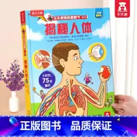 ⭐揭秘人体 [正版] 揭秘翻翻书系列3d立体书儿童数学物理化学生物3-6-8-12岁科普百科全书一二三年级幼儿园幼小衔接