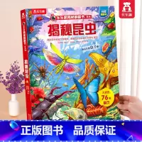 ⭐揭秘昆虫 [正版] 揭秘翻翻书系列3d立体书儿童数学物理化学生物3-6-8-12岁科普百科全书一二三年级幼儿园幼小衔接