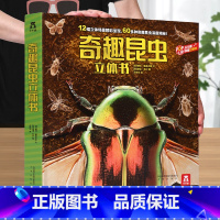 [奇趣昆虫立体书] [正版] 汽车王国立体书交通工具翻翻书汽车书籍小百科儿童3d立体书学前幼儿园小学生一二三年级课外读物