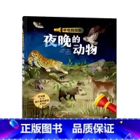 手电筒探秘 夜晚的动物 [正版]手电筒探秘 夜晚的动物 2-3-4-6岁儿童科普认知百科读物 宝宝启蒙益智 幼儿园幼儿早