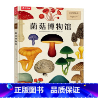 奇迹博物馆 菌菇博物馆 [正版] 奇迹博物馆系列4册套装 3-8岁儿童科普百科 恐龙+人体+太空+菌菇 揭秘恐龙的秘