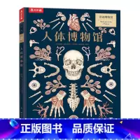 奇迹博物馆 人体博物馆 [正版] 奇迹博物馆系列4册套装 3-8岁儿童科普百科 恐龙+人体+太空+菌菇 揭秘恐龙的秘