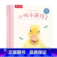 小鸭子迷路了 [正版]F甜甜圈粉丝专享 绘本0-3岁睡前早教书籍幼儿1-2-6岁宝宝幼儿园学前亲亲宝贝小兔子爱冒险儿童阅
